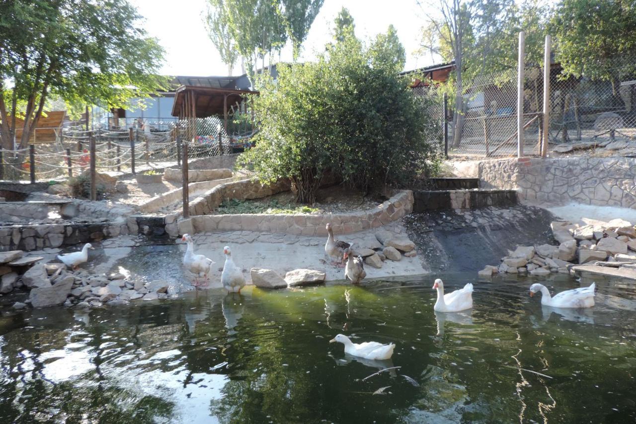 Posada Rural Spa Granja La Tejera De Lozoya Gargantilla del Lozoya Dış mekan fotoğraf